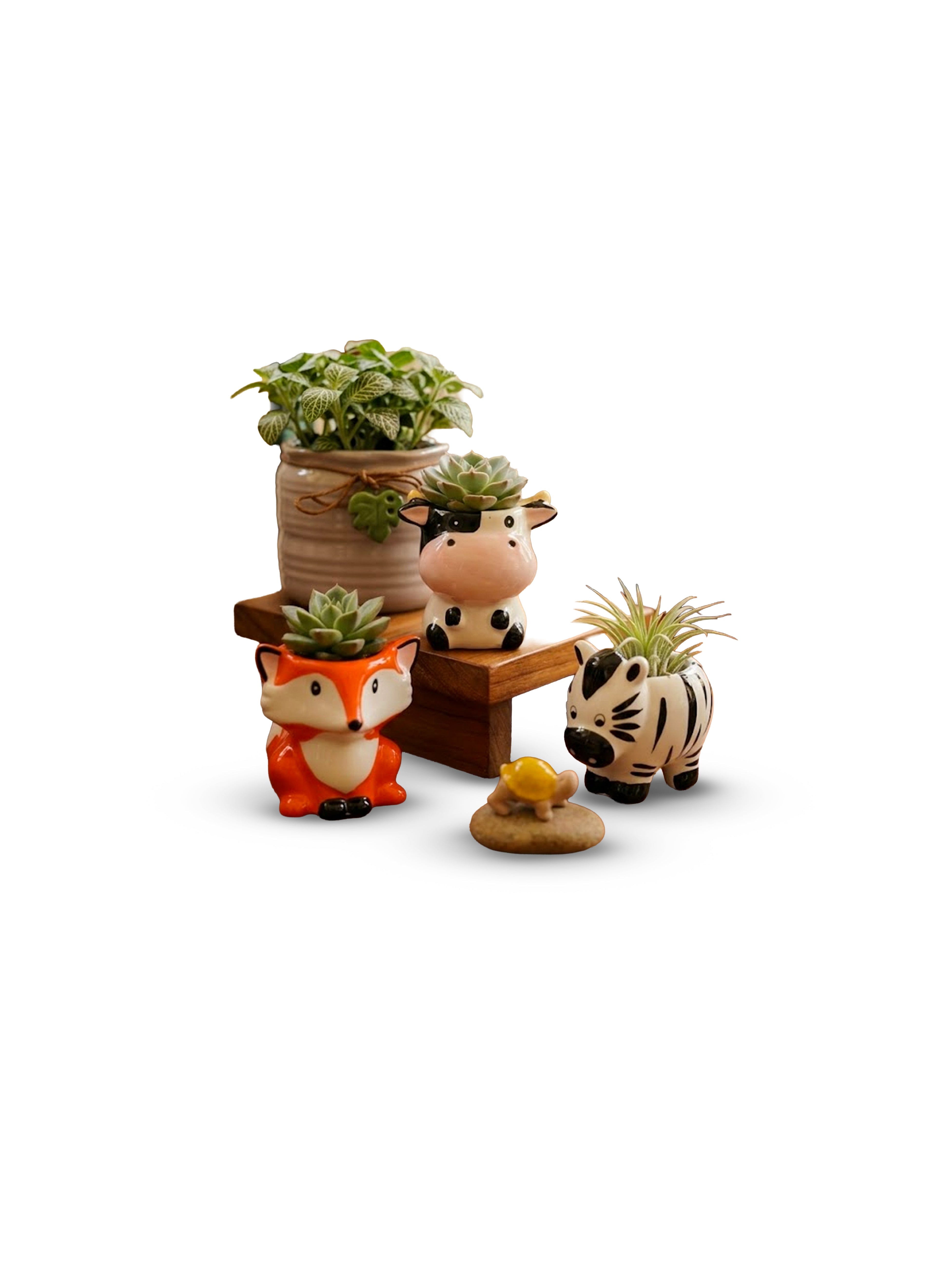 Miniatures