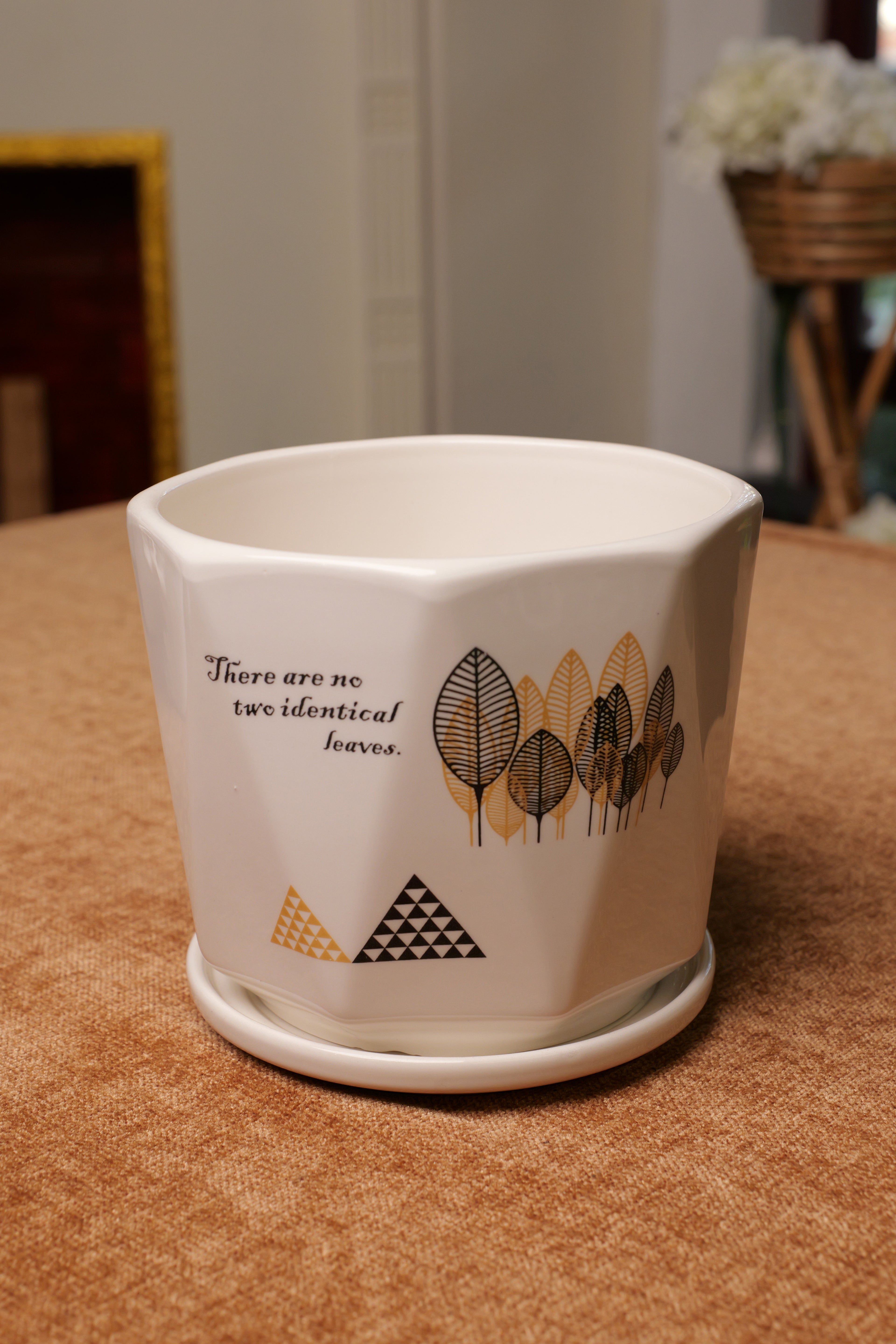 Pot