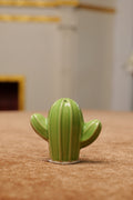 Catus