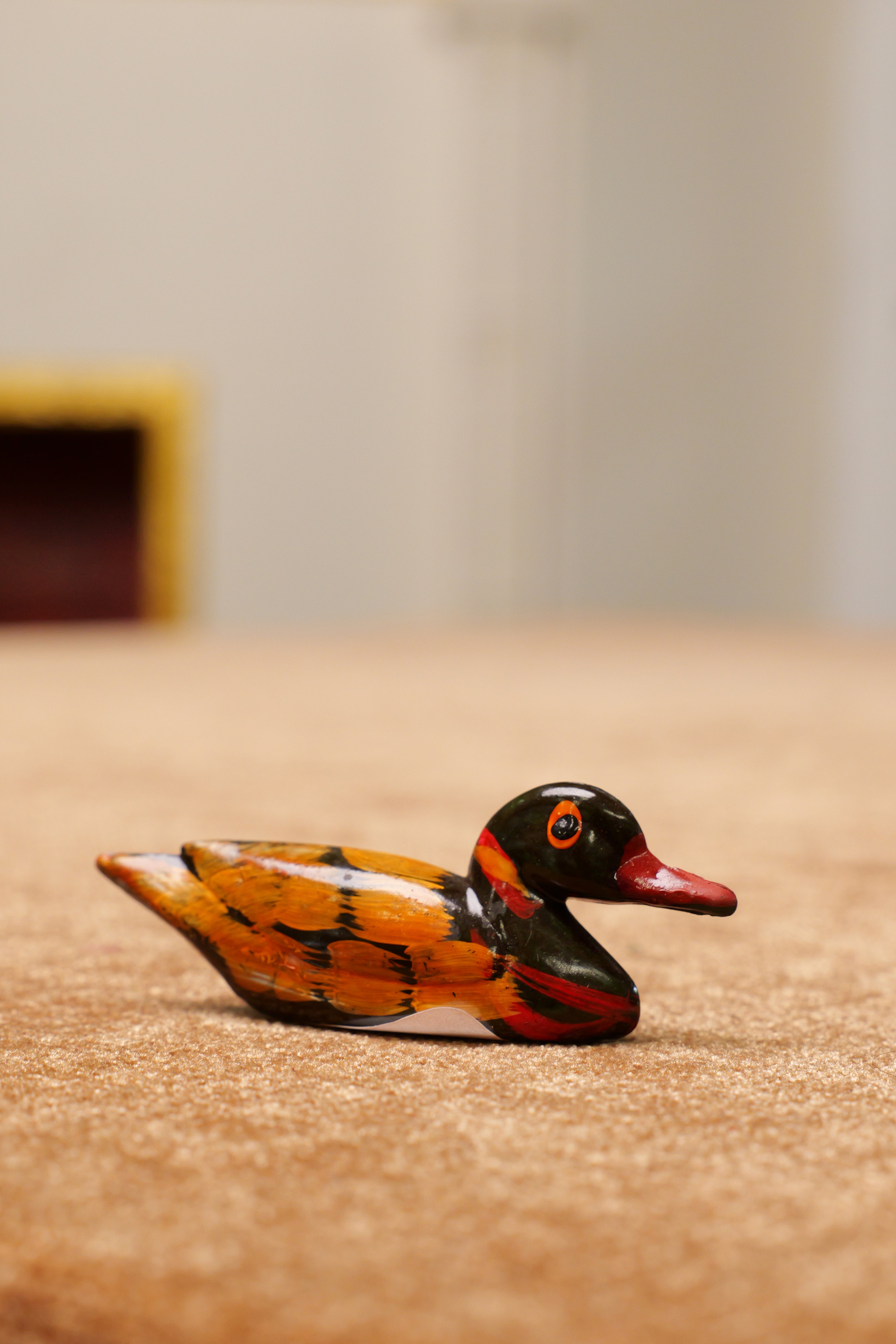 Duck
