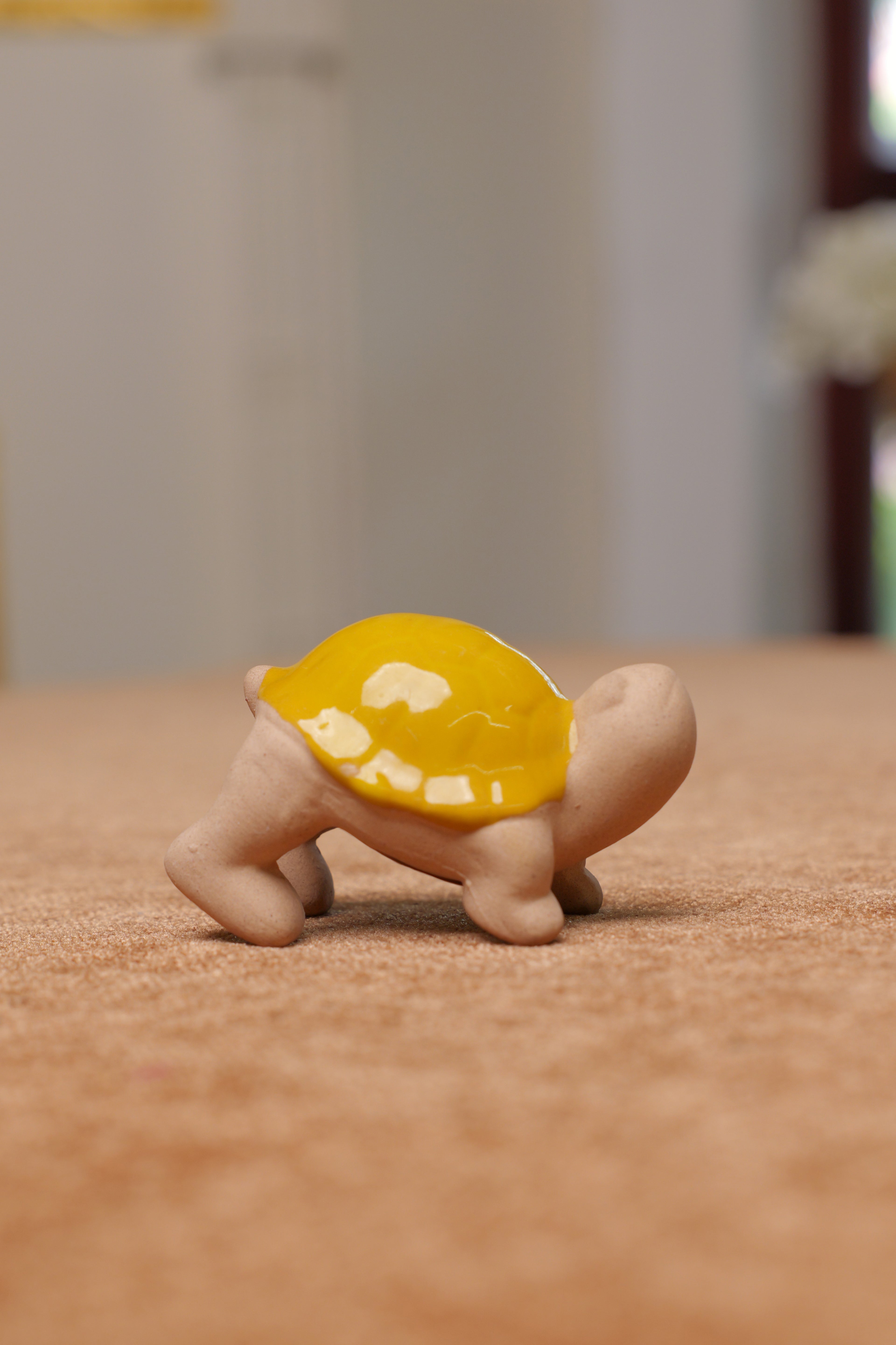Tortoise