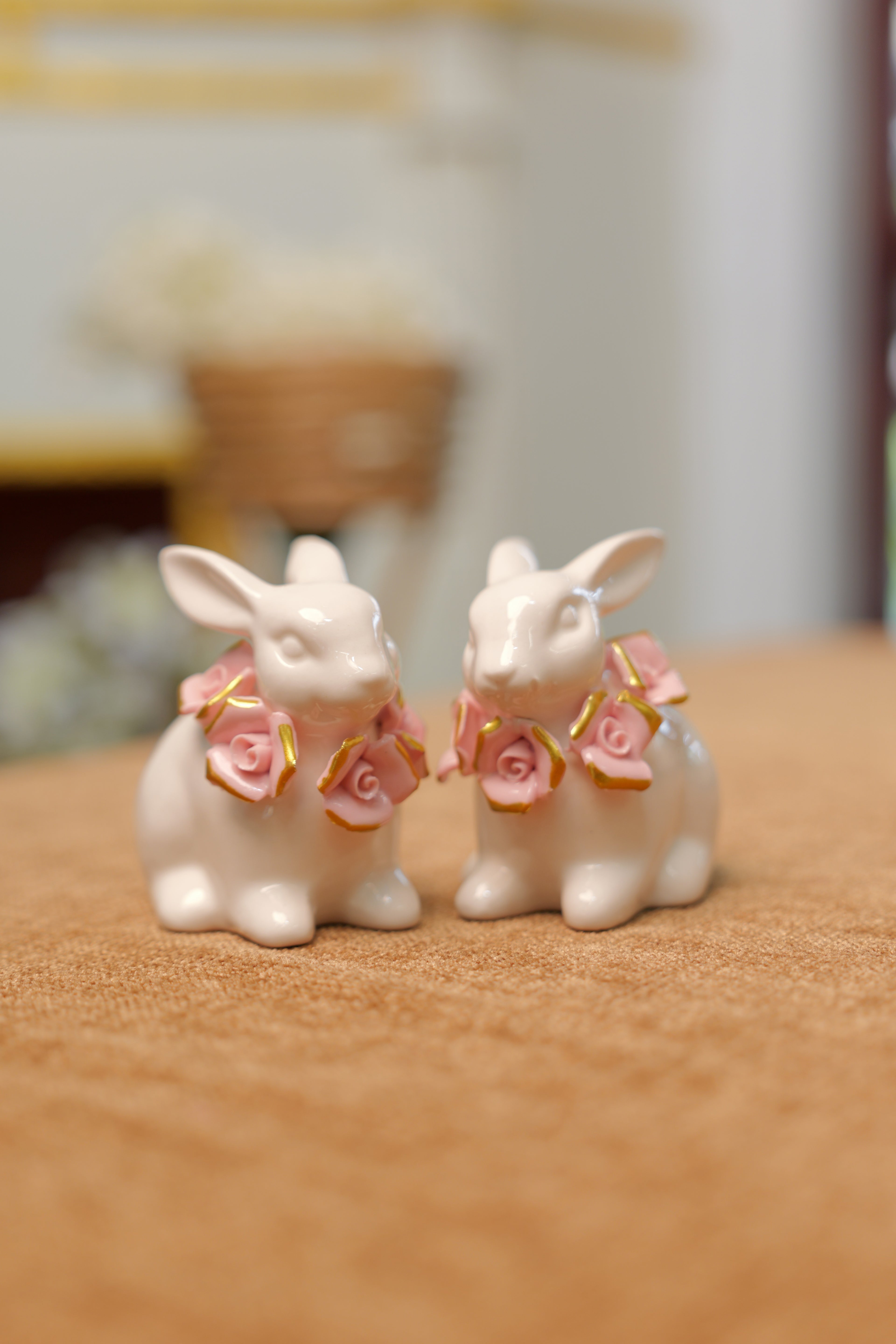 Rabbit
