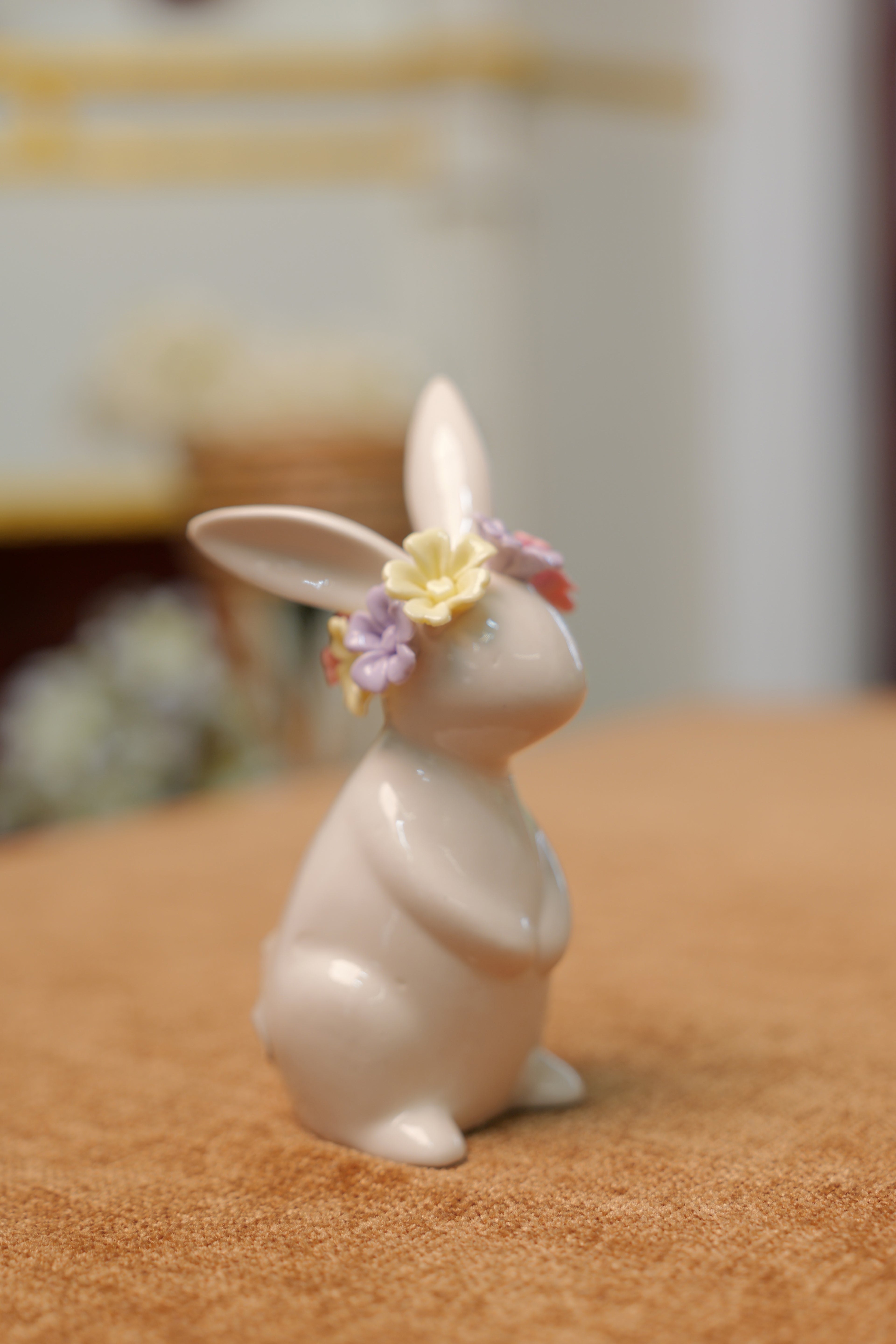 Rabbit