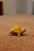 Tortoise